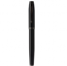 Ручка перьевая PARKER IM Achromatic F317 CW2127741, матовый черный F, 1 шт